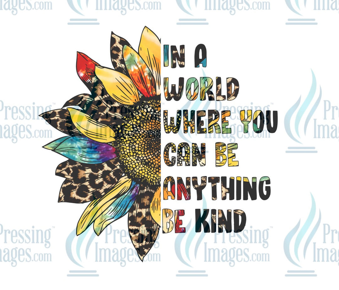 Decal: In A World You Can Be Anything Be Kind