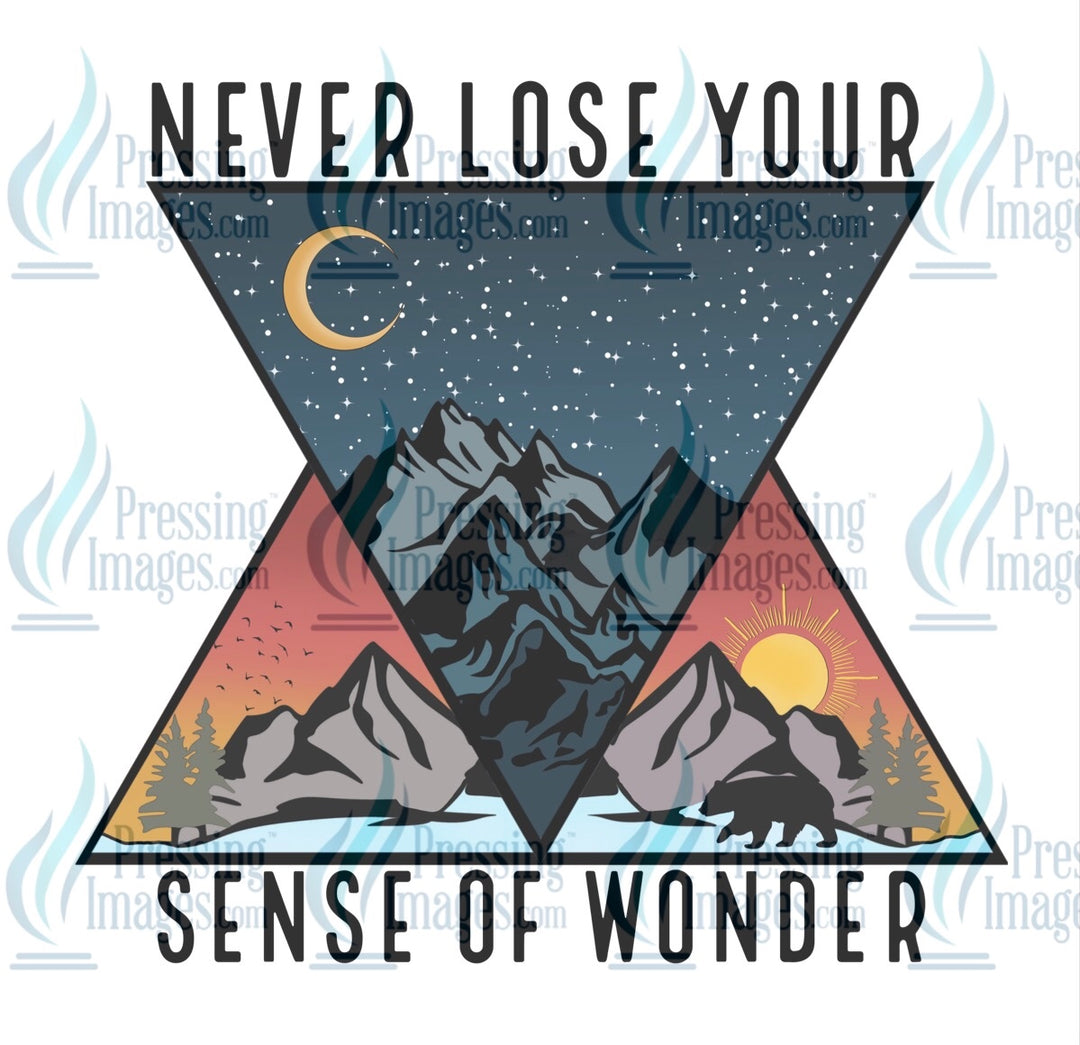 Decal: 4021 never lose your sense of wonder