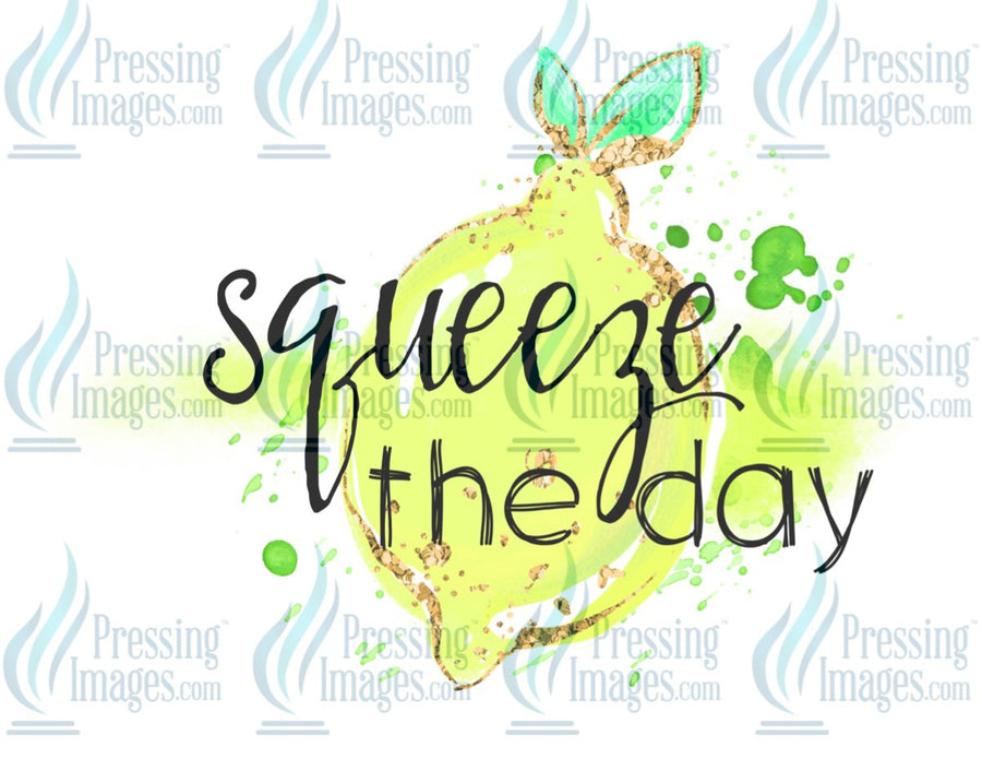 Decal: Squeeze the day
