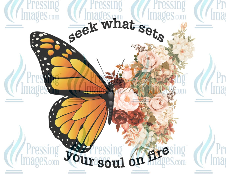 Decal: Seek what sets you free
