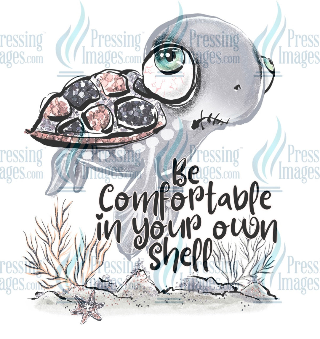 Decal: 341 Be comfortable in your own shell