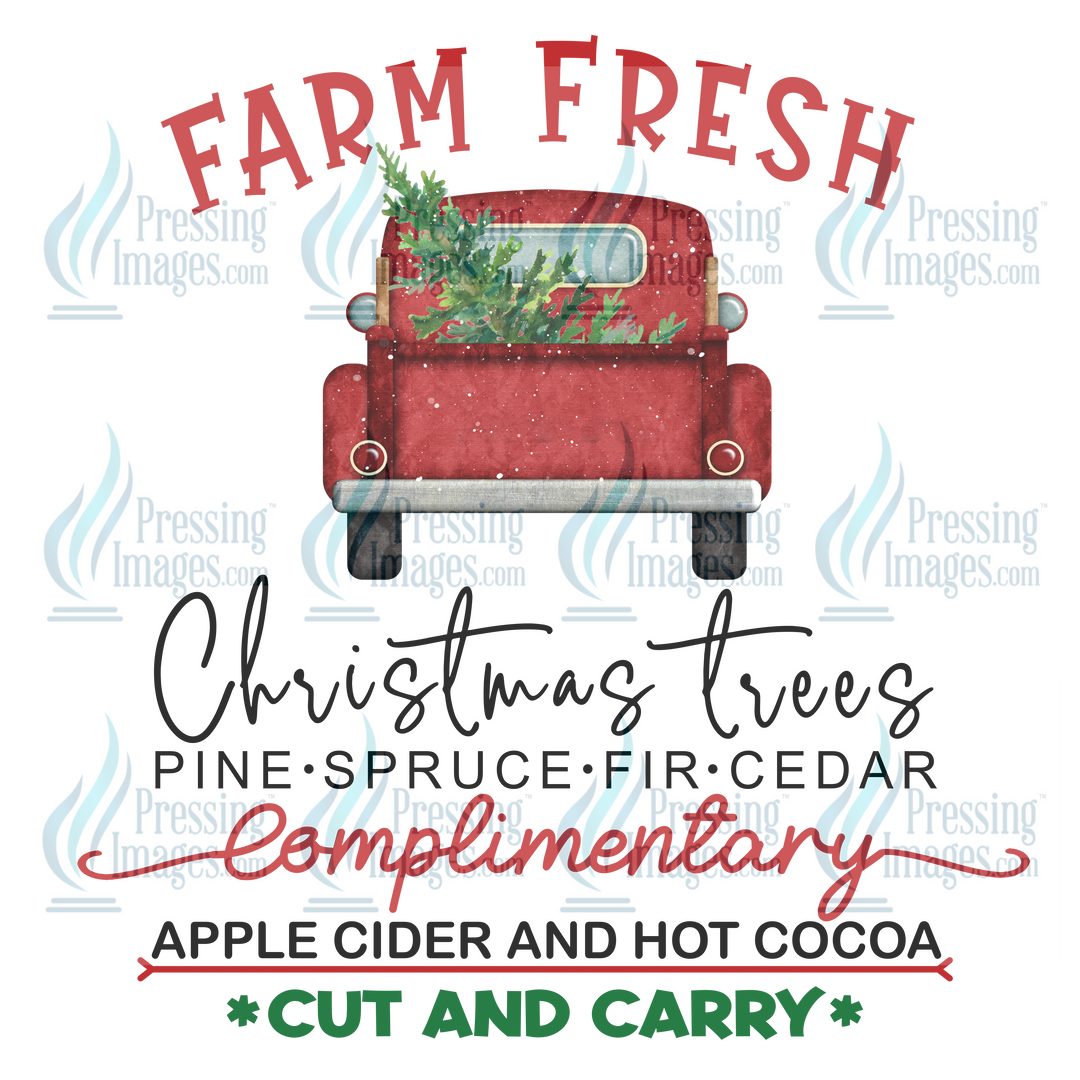 Decal: 1594 Farm Fresh Christmas Trees Pine Spruce Fir Cider Complimentary