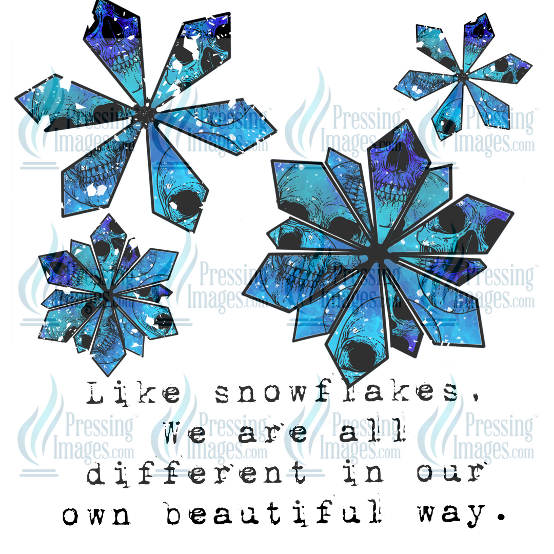 Decal: 2005 Snowflakes beautiful in our own way.