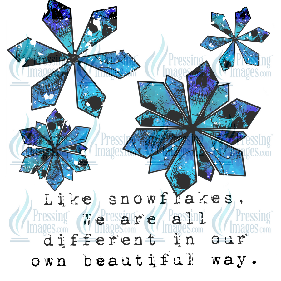 Decal: 2005 Snowflakes beautiful in our own way.