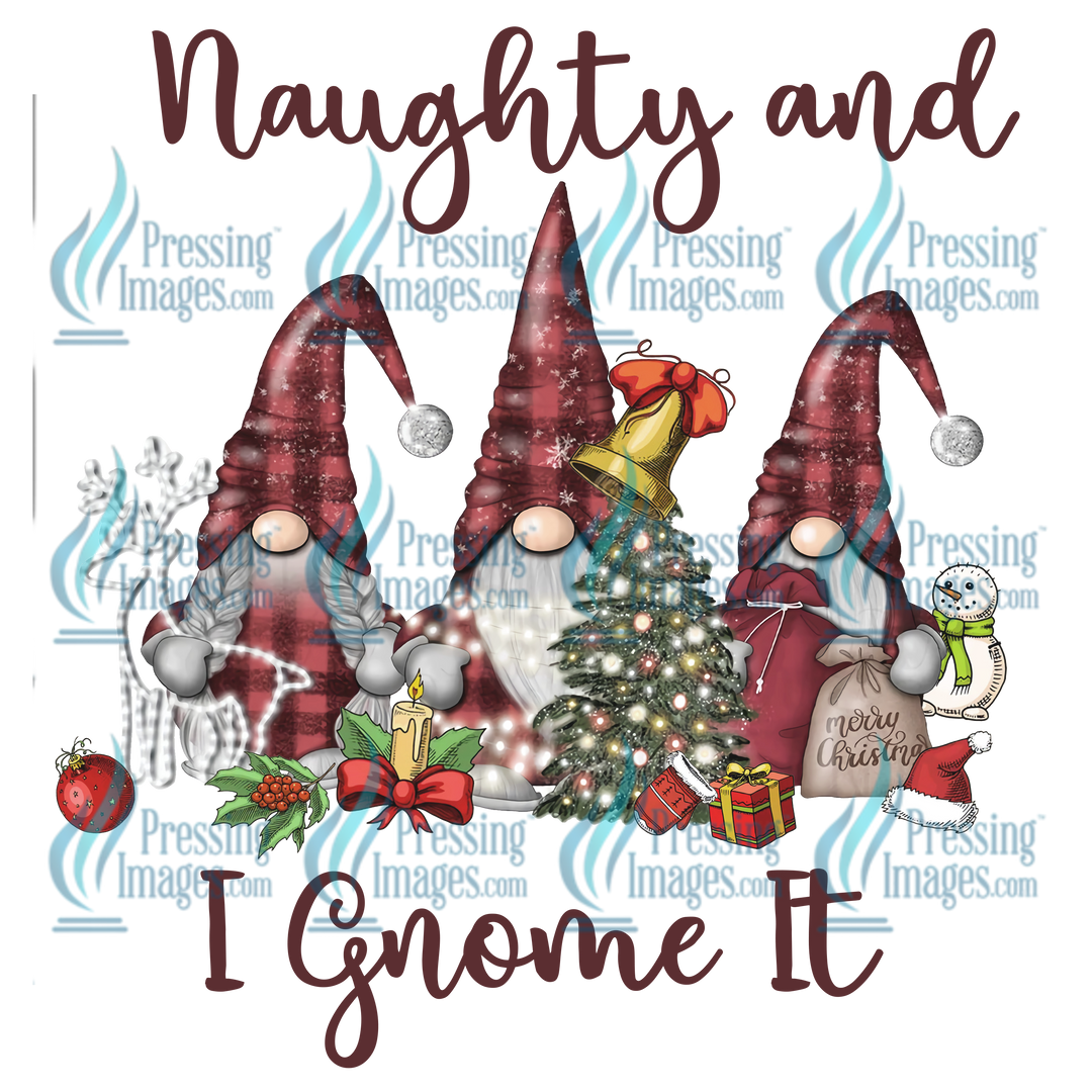 Decal: 1419 Naughty and Gnome it