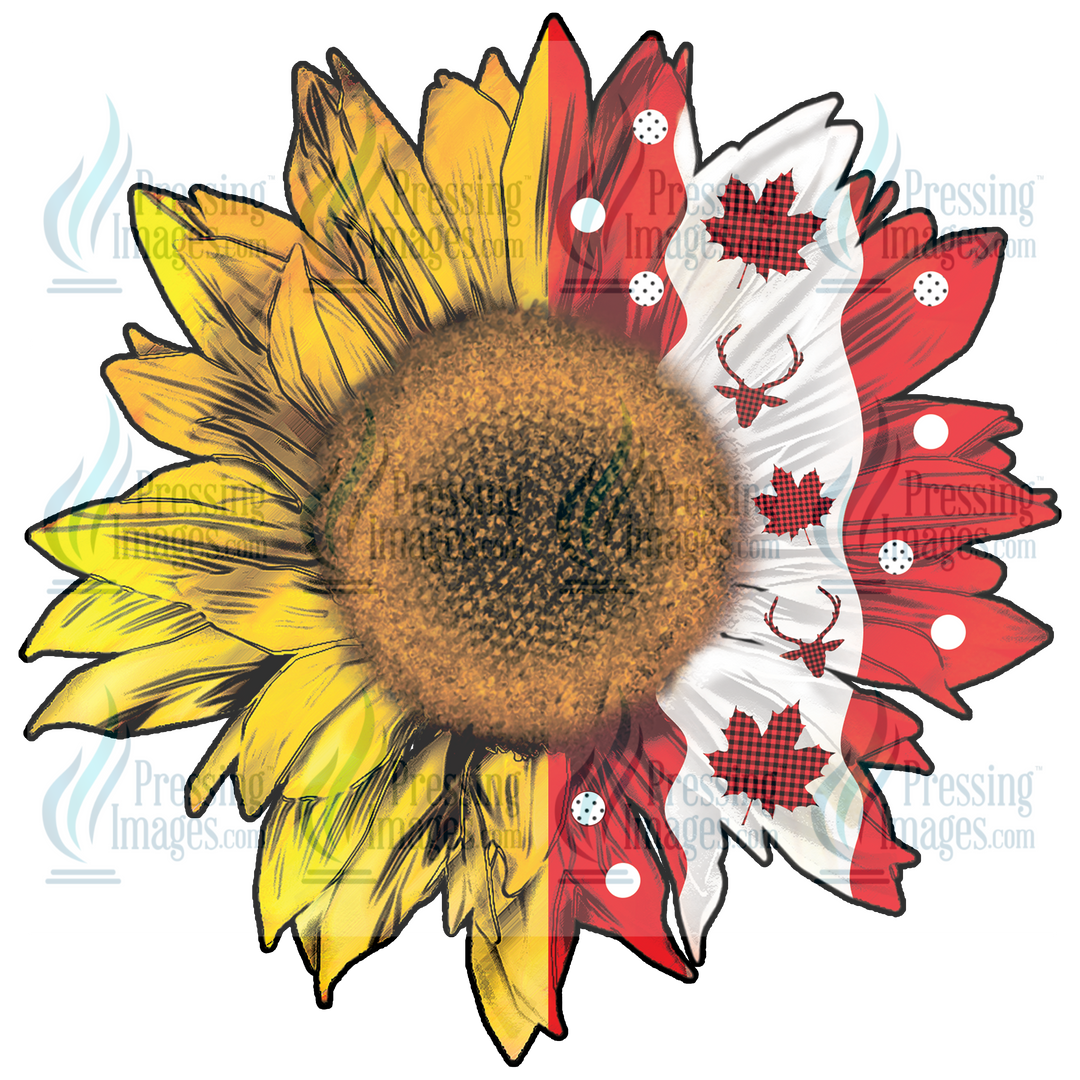 Decal: 1904 Canada flag sunflower