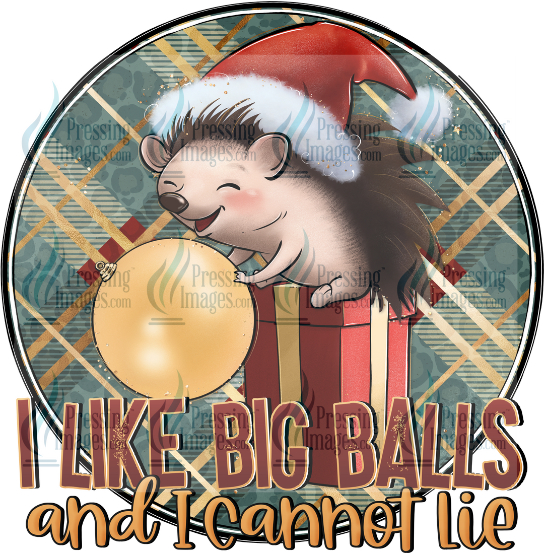 Decal: 1557 I Like Big Balls And I Cannot Lie