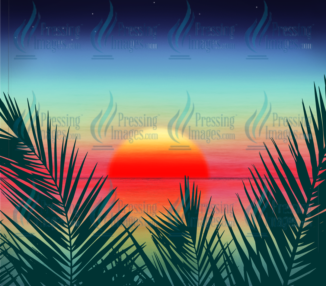 6151 Palm Sunset Tumbler Wrap