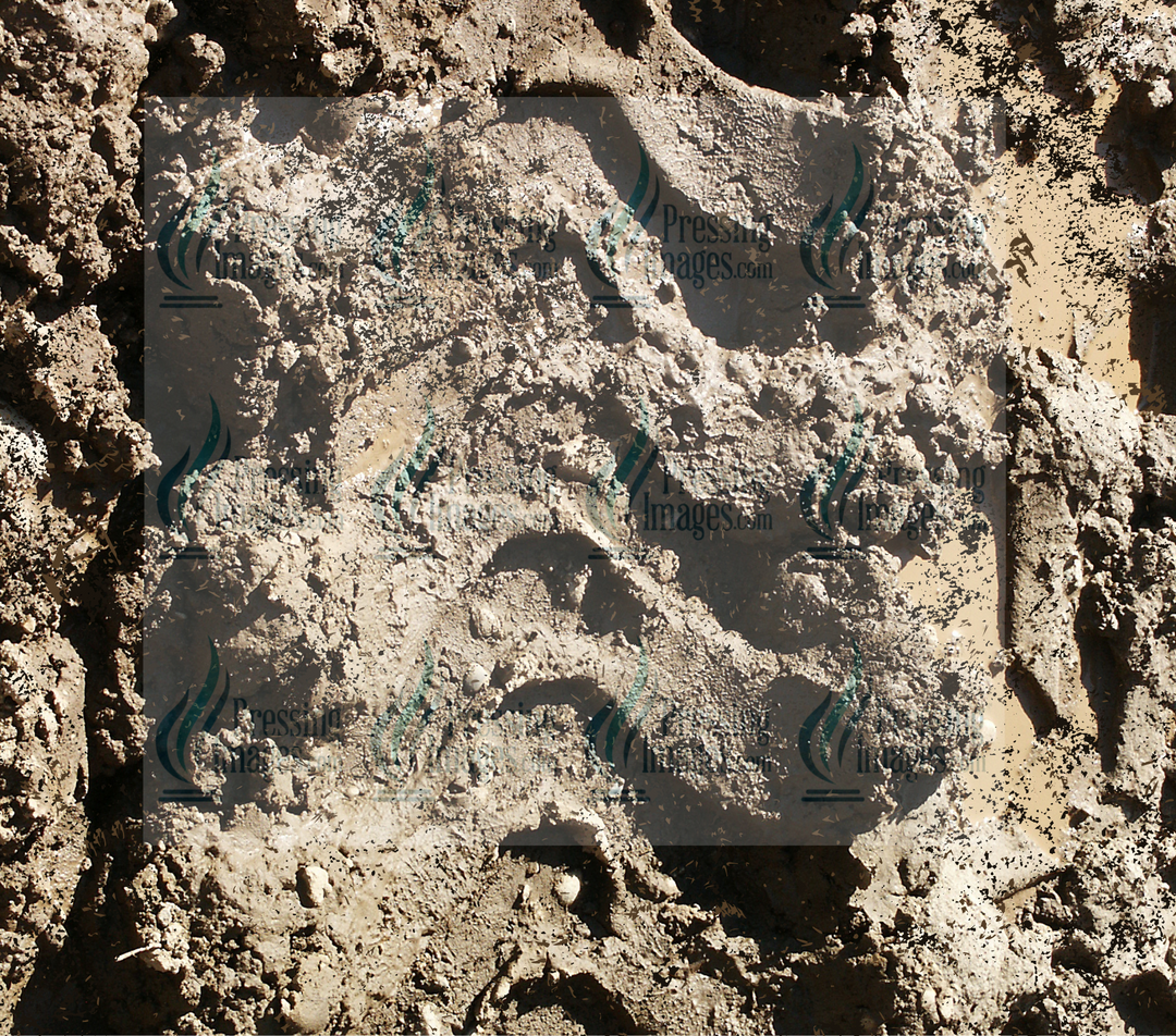 6561 Tiretracks Tumbler Wrap.